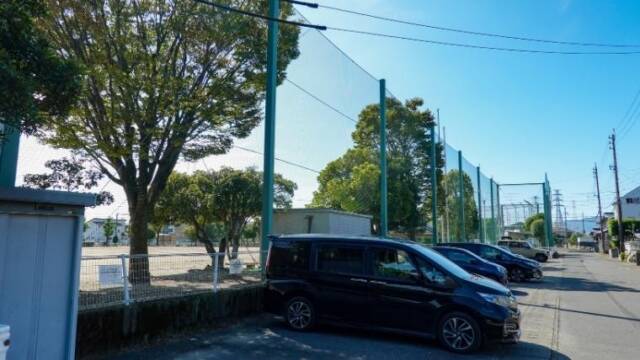 朝日神社のクロガネモチ　北方中央公園